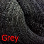 Серый Краска Shot Power Color Серый